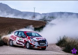 Peugeot 208 r2 - kit de tierra, recien revisado