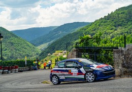 Peugeot 207 lw cup frances