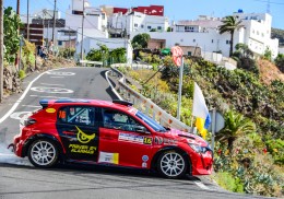 Peugeot 208 rally 4