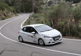 Peugeot 208 n3 volant racc