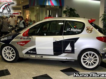 Peugeot 206 rc full n