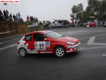 Se vende peugeot 206 del desafio nacional