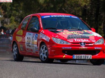 Vendo 206 desafío nacional