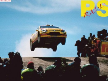 Vendo 205 rally listo para correr, todo homologado grupo n