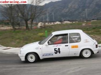 205 rallye gr.n listo para correr