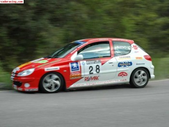 Vendo 206 desafio catalan!!!