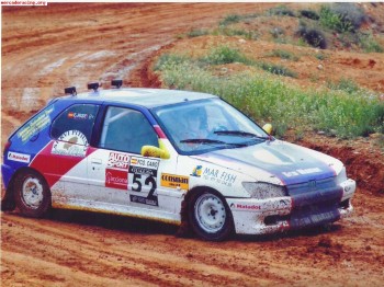 Se vende o se cambia 306 gordo.