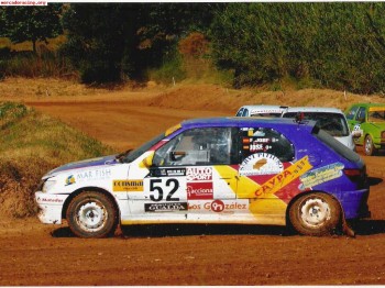 Se vende o se cambia 306 gordo