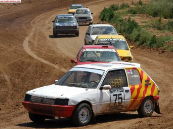 Peugeot 205 autocros