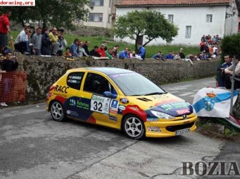 Peugeot 206 desafio nacional (fran cima)