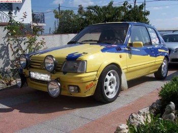 Vendo peugeot 205 gti