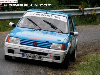 Peugueot 205 rally gr.n