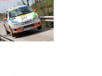 Vendo 206 campeon volant racc 2007