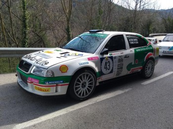 Skoda octavia wrc