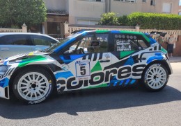 Skoda evo rally 2