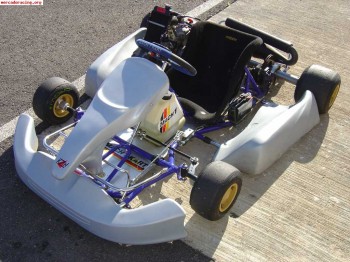 Compro kart completo con motor rotax max