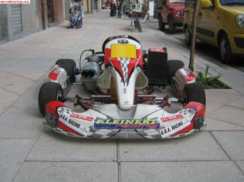 Se vende kart de 100cc