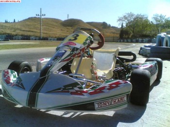 Se venden varios kart tonykart con motor rotax max y cadete 