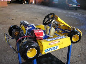 Vendo kart kadette 80 cc