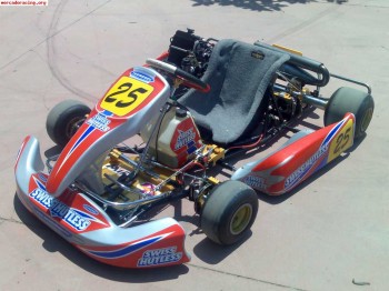 Vendo kart con chasis icc 06 y motor rotax max 