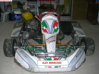 Kart tony kart 125cc 6v