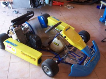 Vendo rotax max 