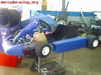 Vendo kart macminarelli con motor tm 