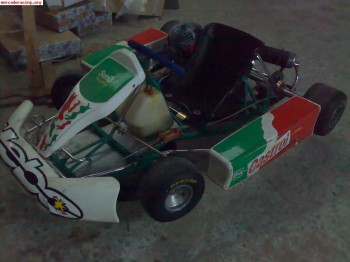 Vendo kart 100cc rotax chasis tony kart