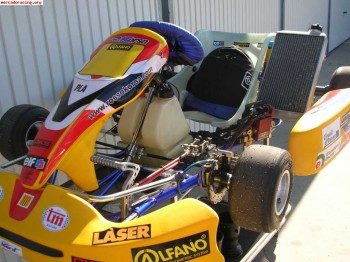 Icc rosso korsa tm k9