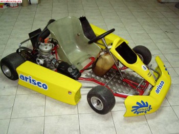 Se vende kart 125 automatico en cantabria