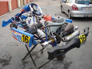 Kart energy kz2