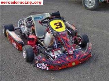 Vendo wild kart 125 icc, 6 velocidades 2007