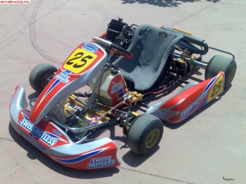 Vendo kart con chasis icc 05 y motor rotax max 