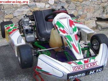 Tony kart motor 125 1100€