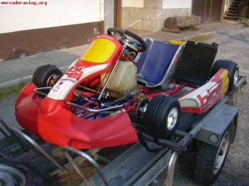 Dos kart en venta 