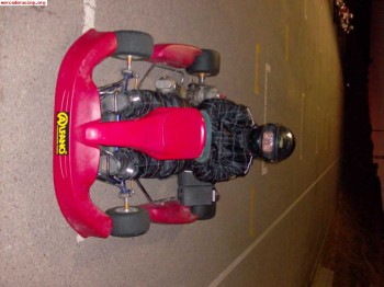 Tony kart , motor iame 125cc . 1600€