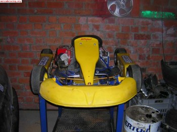 Vendo kart kadette 80 cc