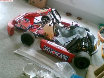 Vendo kart icc 125cc  competicion 