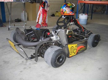 Crg blackstar con rotax max nuevo