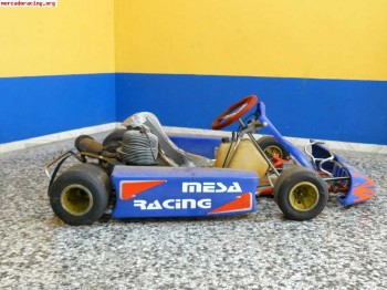 Karts 100cc