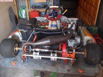 Vendo kart intrepid 6v