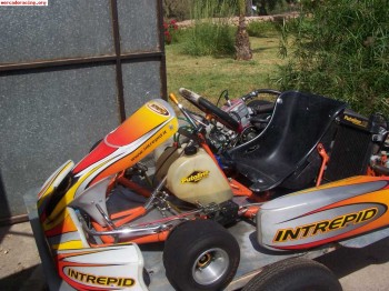 Vendo kart 125 6v. motor tm faluga