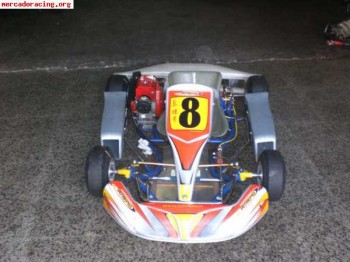 Se vendo top kart alevin con motor comer w80 del año 2007