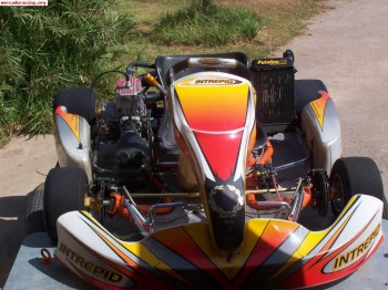 Vendo intrepid 125 de6 marchas