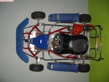 Kart infantil