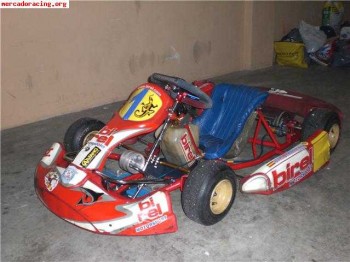 Kart alevin ideal para iniciar a los niños