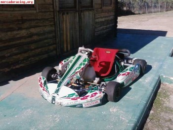 Se vende tony kart completo  o chasis
