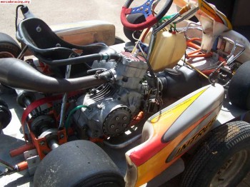 Vendo cart 125 6v  buen precio