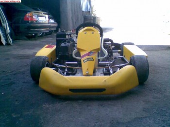 Vendo kart sodikart motor rotax 125cc automatico