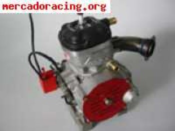 Se vende motor 125 automatico 35cv 1200€